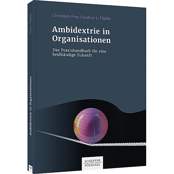 Ambidextrie in Organisationen, Christoph Frey, Gudrun L. Töpfer