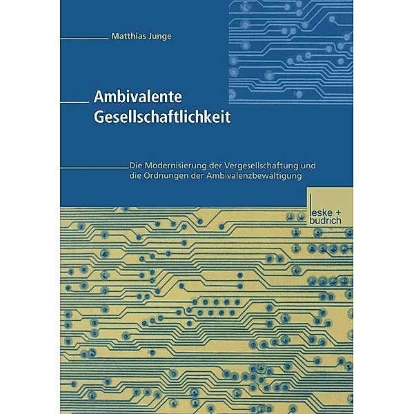 Ambivalente Gesellschaftlichkeit, Matthias Junge