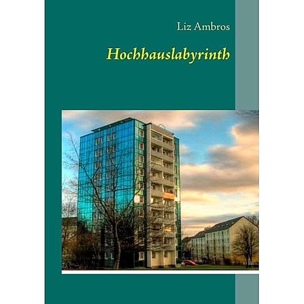 Ambros, L: Hochhauslabyrinth, Liz Ambros