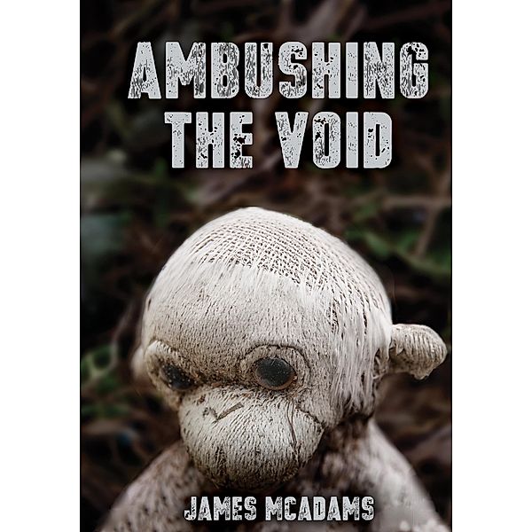 Ambushing the Void, James McAdams