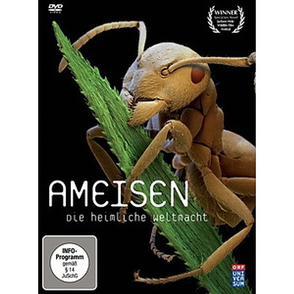 Ameisen - Die heimliche Weltmacht