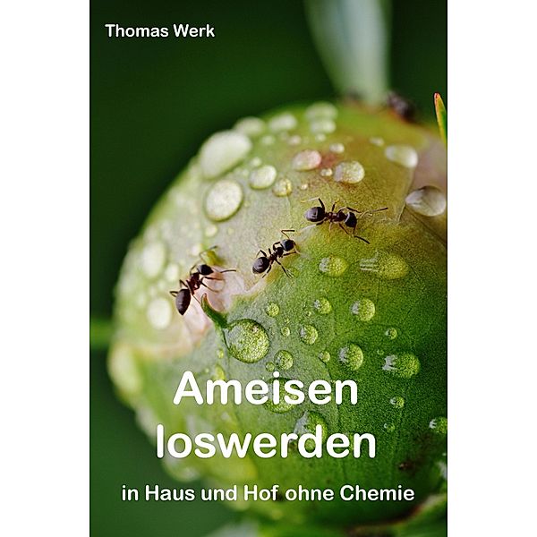 Ameisen loswerden, Thomas Werk