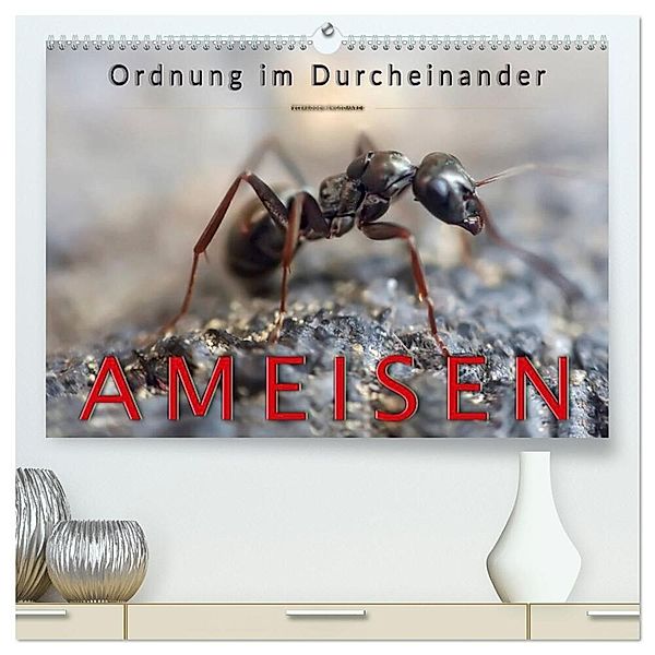 Ameisen - Ordnung im Durcheinander (hochwertiger Premium Wandkalender 2024 DIN A2 quer), Kunstdruck in Hochglanz, Peter Roder