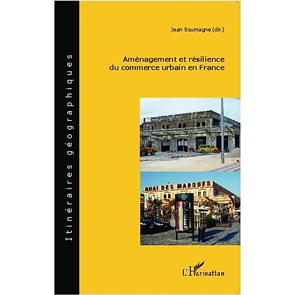 Amenagement et resilience du commerce urbain en France / Hors-collection, Rene-Paul Desse