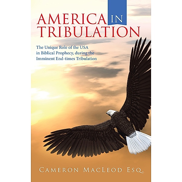America in Tribulation, Cameron MacLeod Esq.