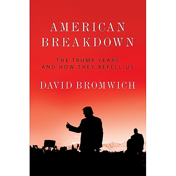 American Breakdown, David Bromwich