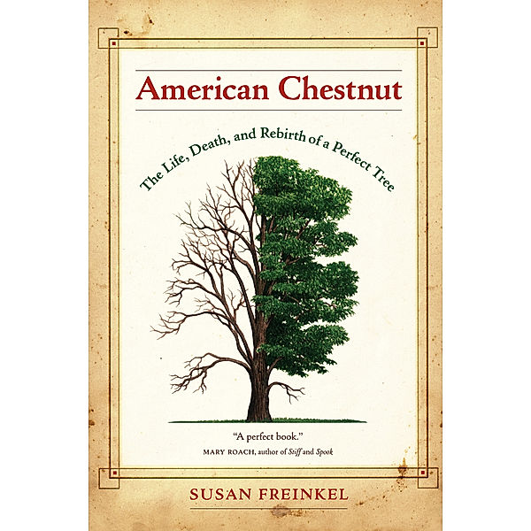 American Chestnut, Susan Freinkel