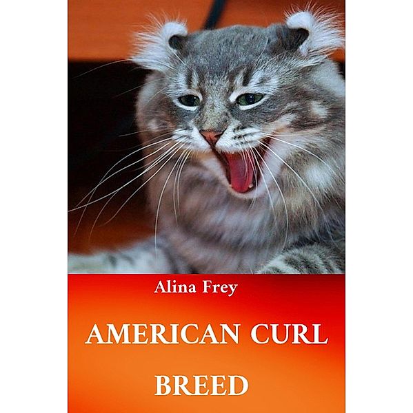 American Curl Breed, Alina Frey