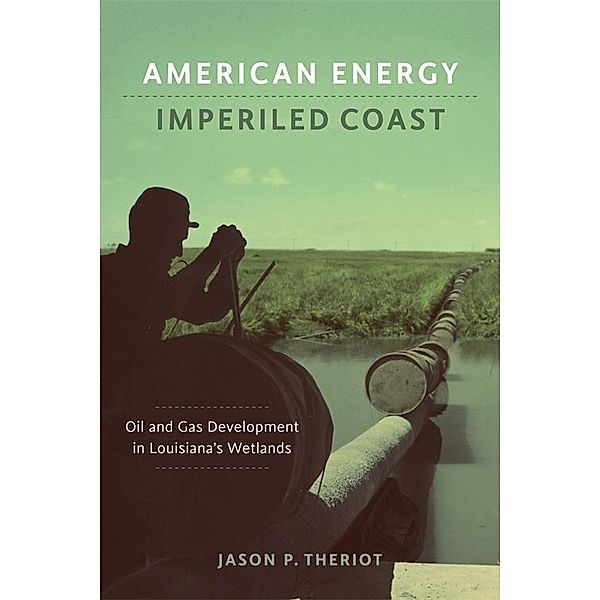 American Energy, Imperiled Coast / The Natural World of the Gulf South Bd.2, Jason P. Theriot