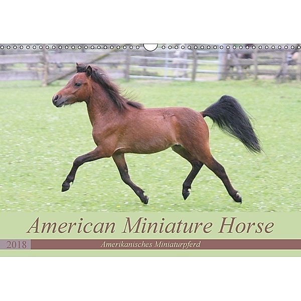 American Miniature Horse (Wandkalender 2018 DIN A3 quer) Dieser erfolgreiche Kalender wurde dieses Jahr mit gleichen Bil, Barbara Mielewczyk