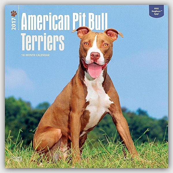 American Pit Bull Terriers 2017, Inc Browntrout Publishers