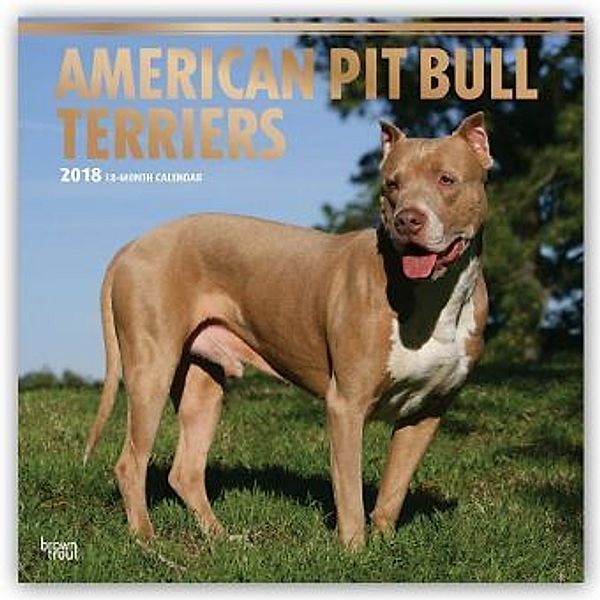 American Pit Bull Terriers 2018 - 18-Monatskalender mit freier DogDays-App, BrownTrout Publisher