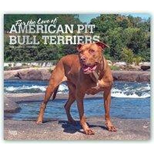 American Pit Bull Terriers - For the love of 2020, BrownTrout Publisher