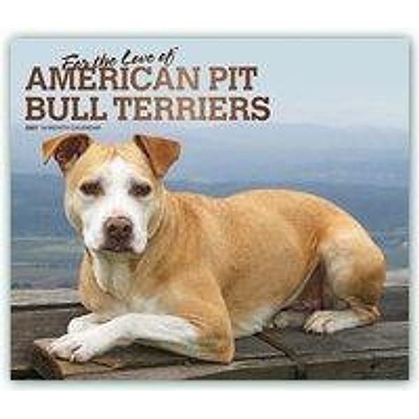 American Pit Bull Terriers - For the love of 2021 - 16-Monatskalender mit freier DogDays-App, BrownTrout Publisher