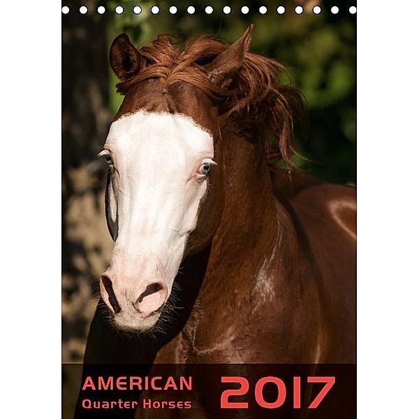 American Quarter Horses 2017 (Tischkalender 2017 DIN A5 hoch), Hautmann