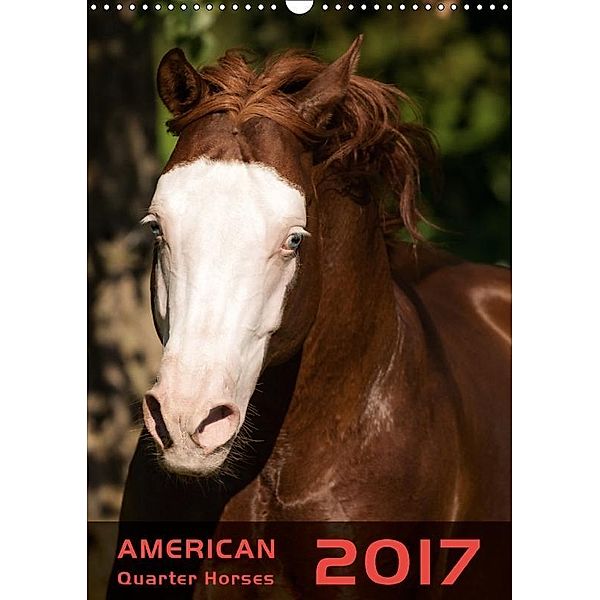 American Quarter Horses 2017 (Wandkalender 2017 DIN A3 hoch), Hautmann
