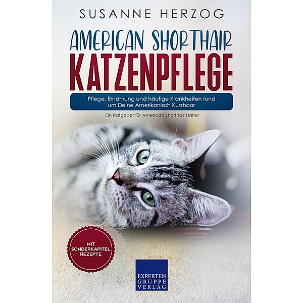 American Shorthair Katzenpflege - Pflege, Ernährung und häufige Krankheiten rund um Deine Amerikanisch Kurzhaar / American Shorthair Katzen Bd.3, Susanne Herzog