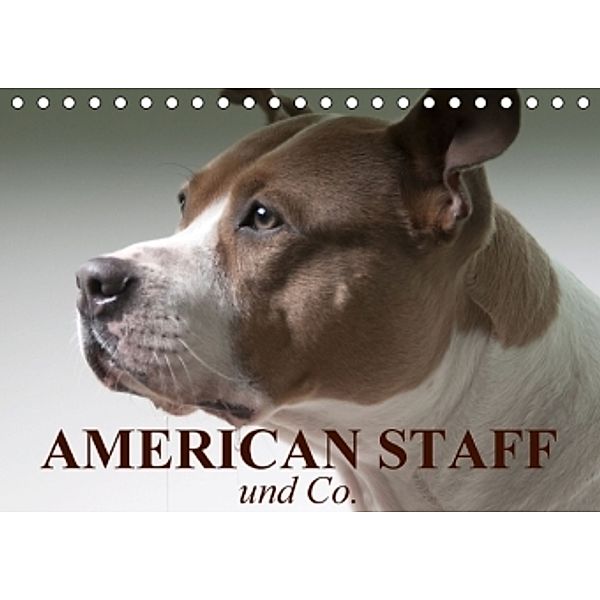 American Staff und Co. (Tischkalender 2016 DIN A5 quer), Elisabeth Stanzer