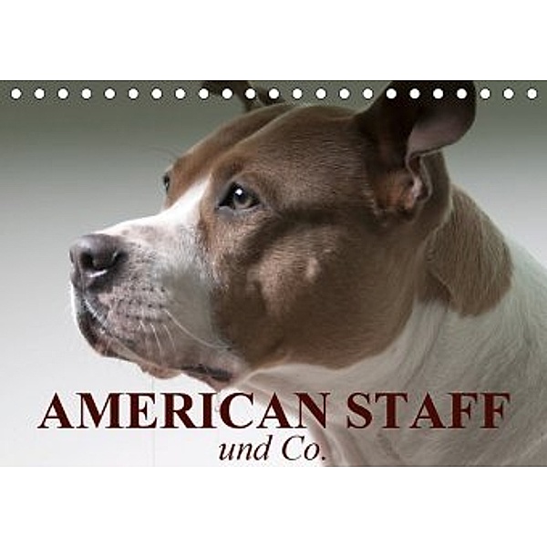 American Staff und Co. (Tischkalender 2020 DIN A5 quer), Elisabeth Stanzer