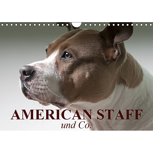 American Staff und Co. (Wandkalender 2019 DIN A4 quer), Elisabeth Stanzer