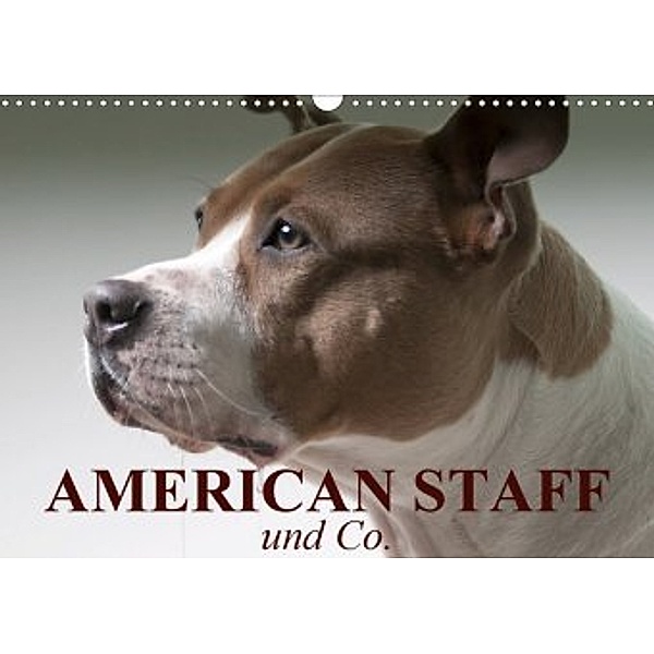 American Staff und Co. (Wandkalender 2020 DIN A3 quer), Elisabeth Stanzer
