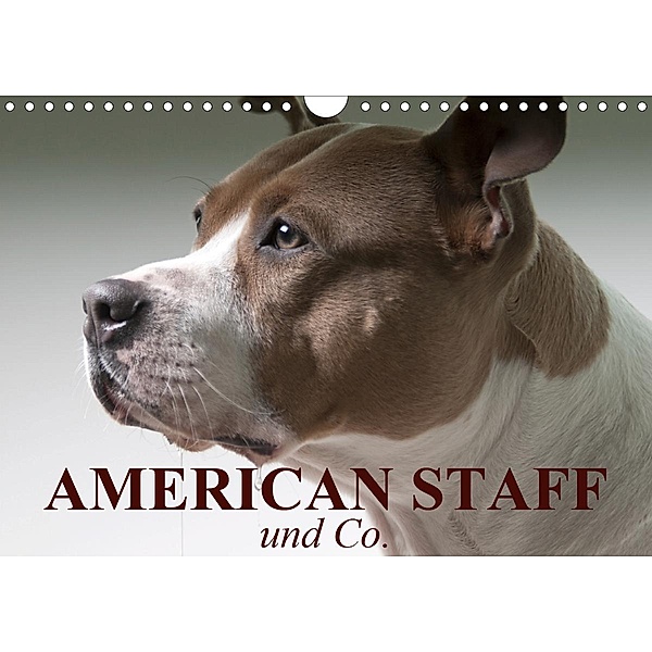 American Staff und Co. (Wandkalender 2021 DIN A4 quer), Elisabeth Stanzer