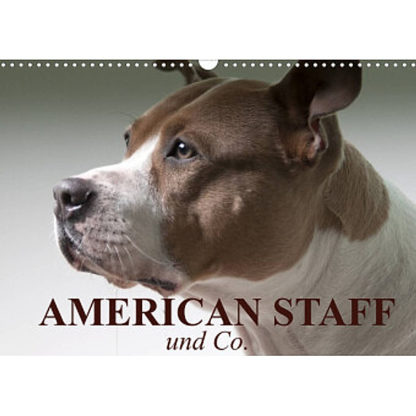 American Staff und Co. (Wandkalender 2022 DIN A3 quer), Elisabeth Stanzer