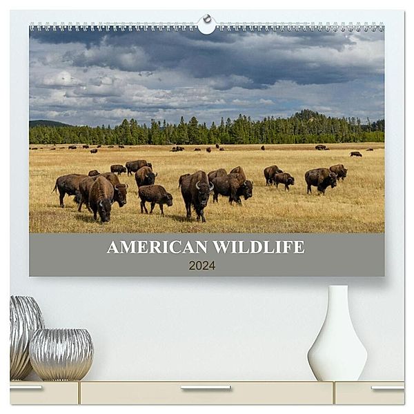 American Wildlife (hochwertiger Premium Wandkalender 2024 DIN A2 quer), Kunstdruck in Hochglanz, Christian Heeb