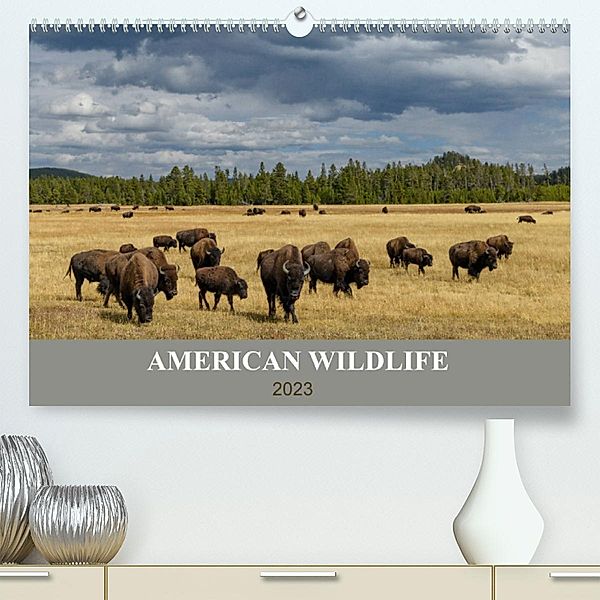 American Wildlife (Premium, hochwertiger DIN A2 Wandkalender 2023, Kunstdruck in Hochglanz), Christian Heeb