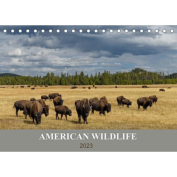 American Wildlife (Tischkalender 2023 DIN A5 quer), Christian Heeb