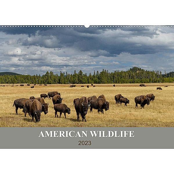American Wildlife (Wandkalender 2023 DIN A2 quer), Christian Heeb