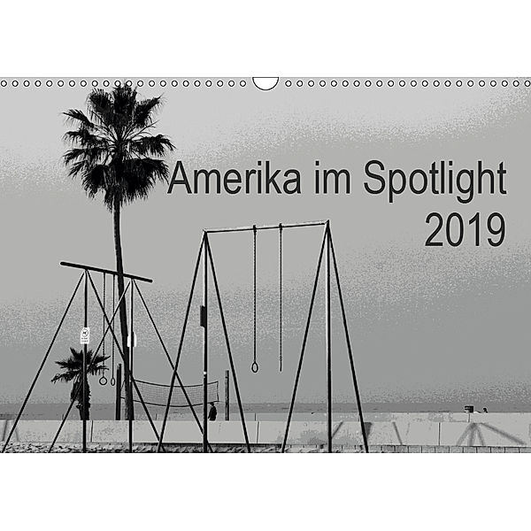 Amerika im Spotlight (Wandkalender 2019 DIN A3 quer), Patrizia Zannini