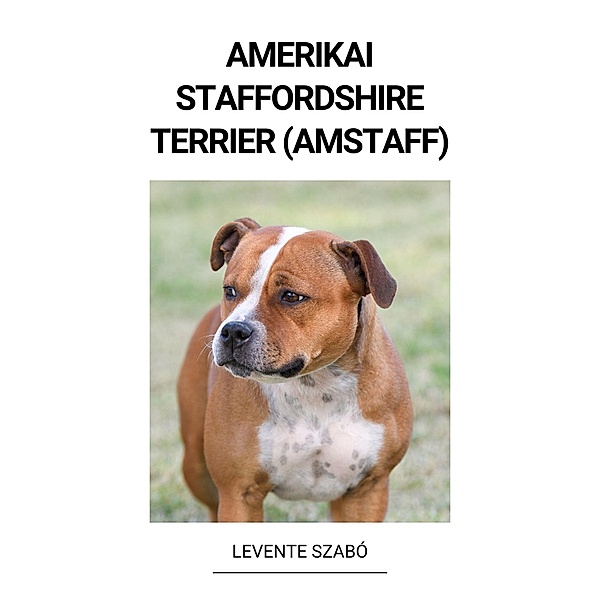 Amerikai Staffordshire Terrier (Amstaff), Levente Szabó