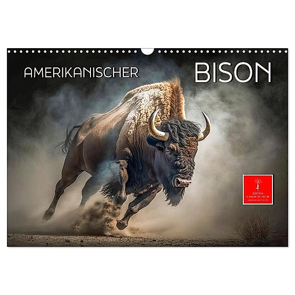 Amerikanischer Bison (Wandkalender 2024 DIN A3 quer), CALVENDO Monatskalender, Peter Roder
