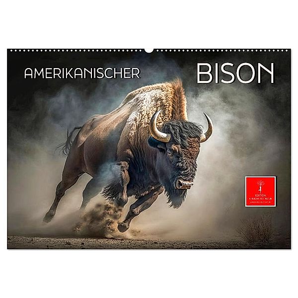 Amerikanischer Bison (Wandkalender 2025 DIN A2 quer), CALVENDO Monatskalender, Calvendo, Peter Roder