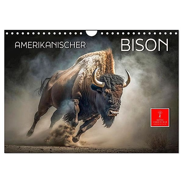 Amerikanischer Bison (Wandkalender 2025 DIN A4 quer), CALVENDO Monatskalender, Calvendo, Peter Roder