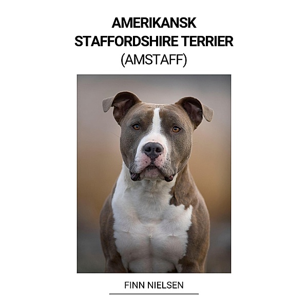 Amerikansk Staffordshire Terrier (Amstaff), Finn Nielsen