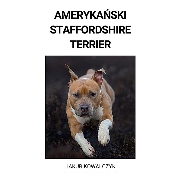 Amerykanski Staffordshire Terrier, Jakub Kowalczyk