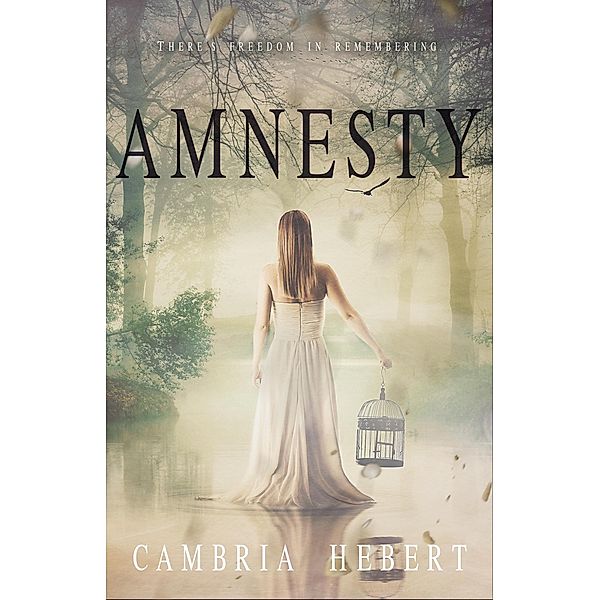 Amnesia Duet: Amnesty (Amnesia Duet, #2), Cambria Hebert