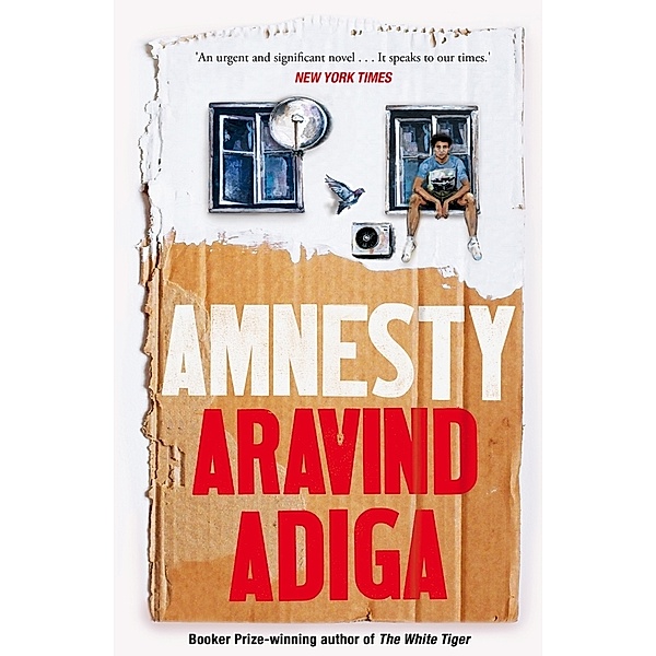 Amnesty, Aravind Adiga