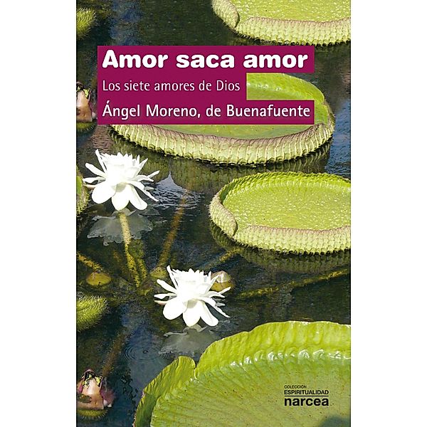 Amor saca amor / Espiritualidad Bd.294, Moreno de Buenafuente Ángel