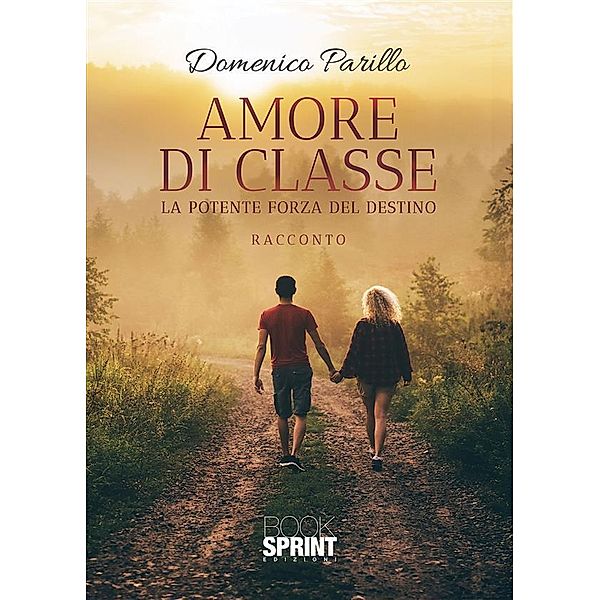 Amore di classe, Domenico Parillo