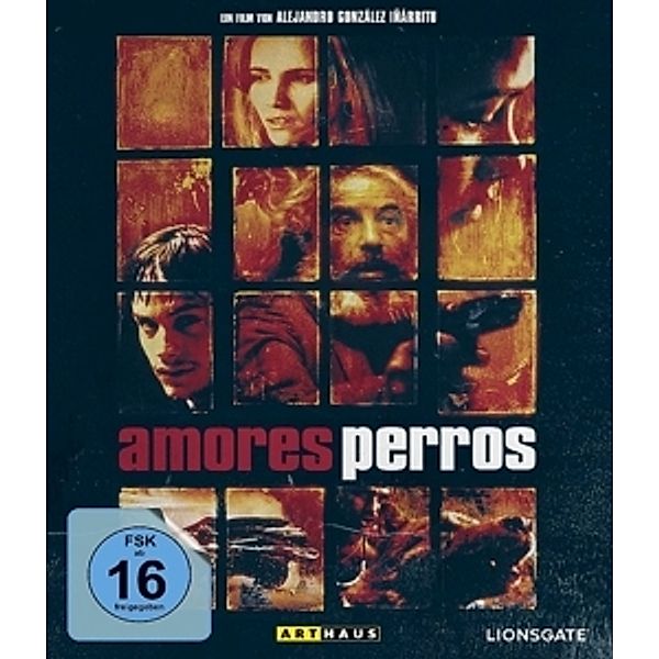 Amores Perros Special Edition, Guillermo Arriaga