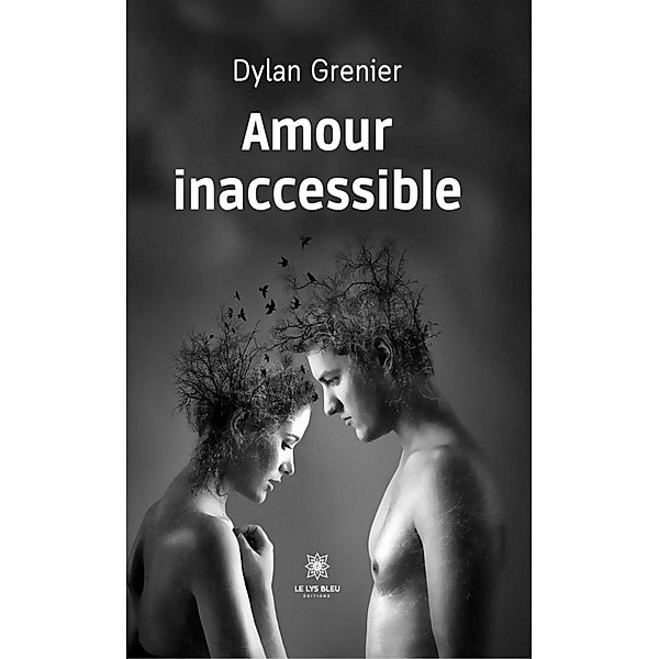 Amour inaccessible, Dylan Grenier