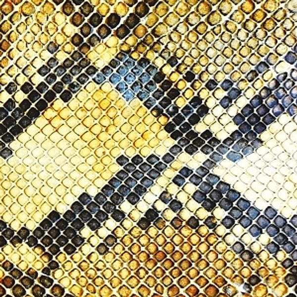 Amphetamine Ballads (Lp+Mp3) (Vinyl), The Amazing Snakeheads