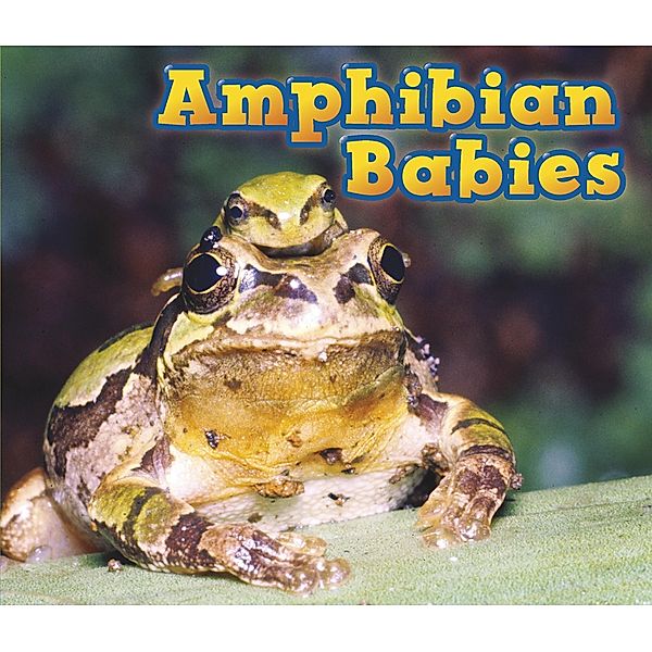 Amphibian Babies / Raintree Publishers, Catherine veitch