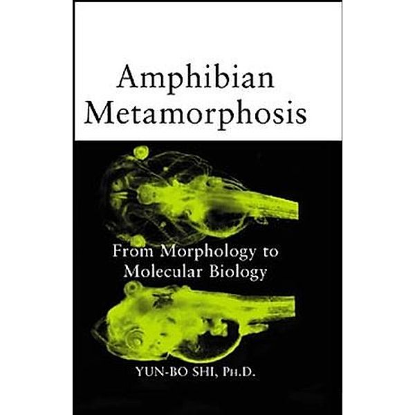 Amphibian Metamorphosis, Yun-Bo Shi