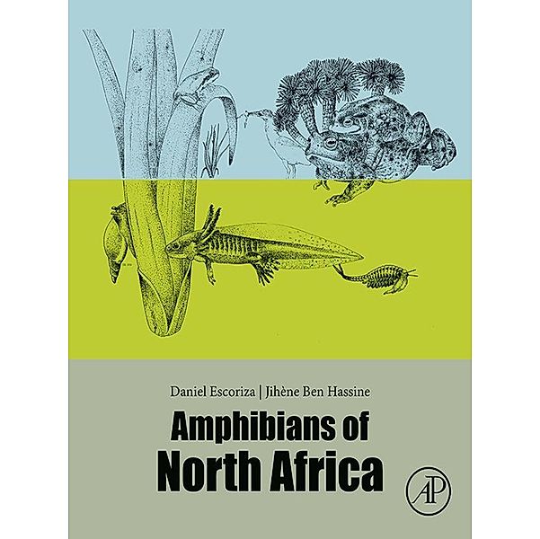 Amphibians of North Africa, Daniel Escoriza, Jihène Ben Hassine