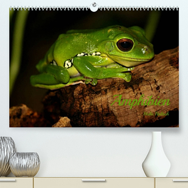 Amphibien (Premium, hochwertiger DIN A2 Wandkalender 2022, Kunstdruck in Hochglanz), Heike Hultsch