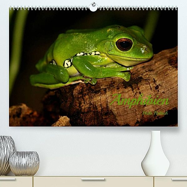 Amphibien (Premium, hochwertiger DIN A2 Wandkalender 2023, Kunstdruck in Hochglanz), Heike Hultsch